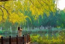 看足球比分哪个网站-看足球比分哪个网站最靠谱？深度解析与实用推荐