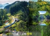足球比分网14场-探秘足球比分网14场，球迷的智慧博弈场与数据盛宴